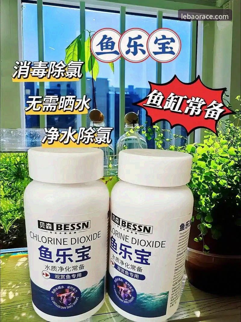 最新乐宝体育全球完整使用指南：从注册到畅玩一步到位